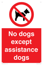 no-dogs-except-assistance-dogs~